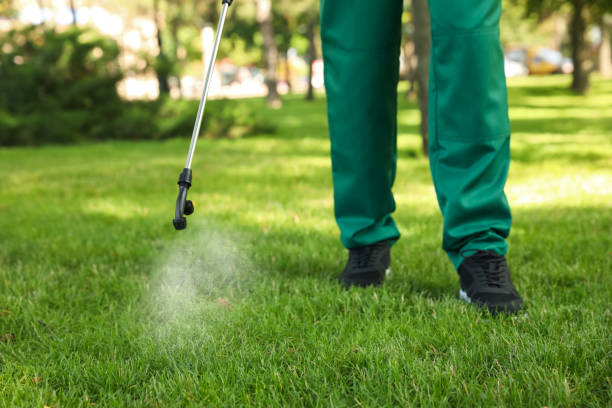 Best Termite Control Services  in Trexlertown, PA