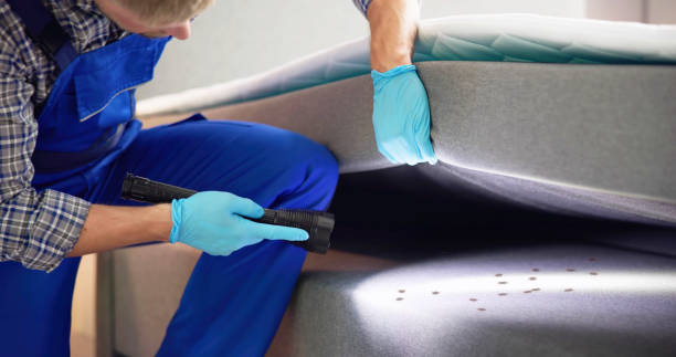 Best Rat Extermination Near Me  in Trexlertown, PA