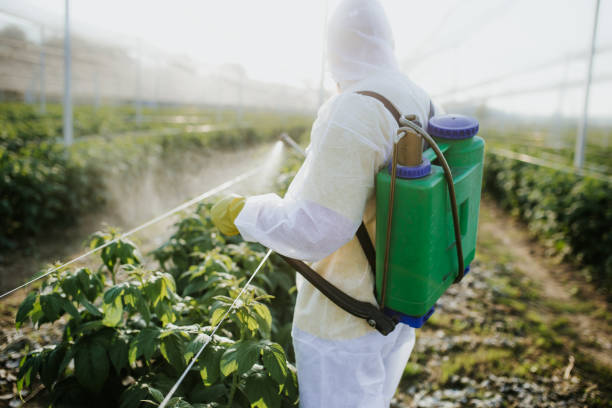 Best Wasp Removal Services  in Trexlertown, PA